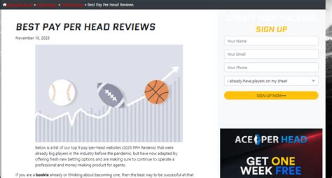 pay per head reviews|Reviews Of The Best Pay Per Head Companies in 2024.
